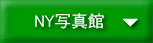 �Z�~�i�[�ɎQ�����ĐG��邱�Ƃ��ł���A�j���[���[�N�̑f��